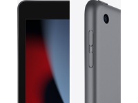 iPad 10,2" (2021) 64GB WiFi (stjärngrå) - Gradering B Surfplattor