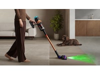 Dyson Piston Animal DS60 Skaftdammsugare