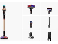 Dyson Piston Animal DS60 Skaftdammsugare