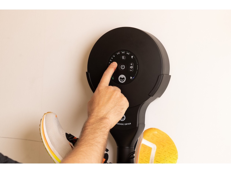 Hedgehog Wall torkställ (svart) Skotorkare