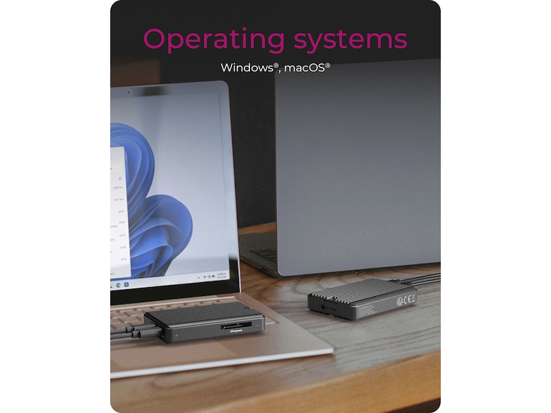 ICY BOX M.2 SSD-Enclosure Externa Chassi