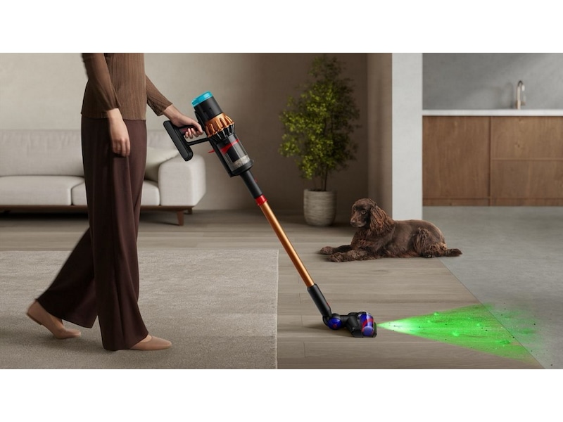 Dyson Piston Animal DS60 Skaftdammsugare