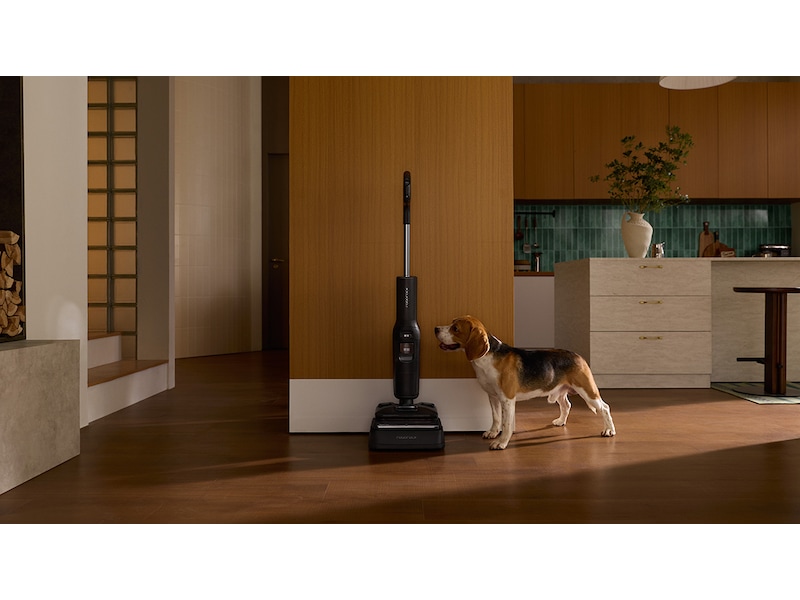 Roborock F25 Ultra handdammsugare (svart) Skaftdammsugare