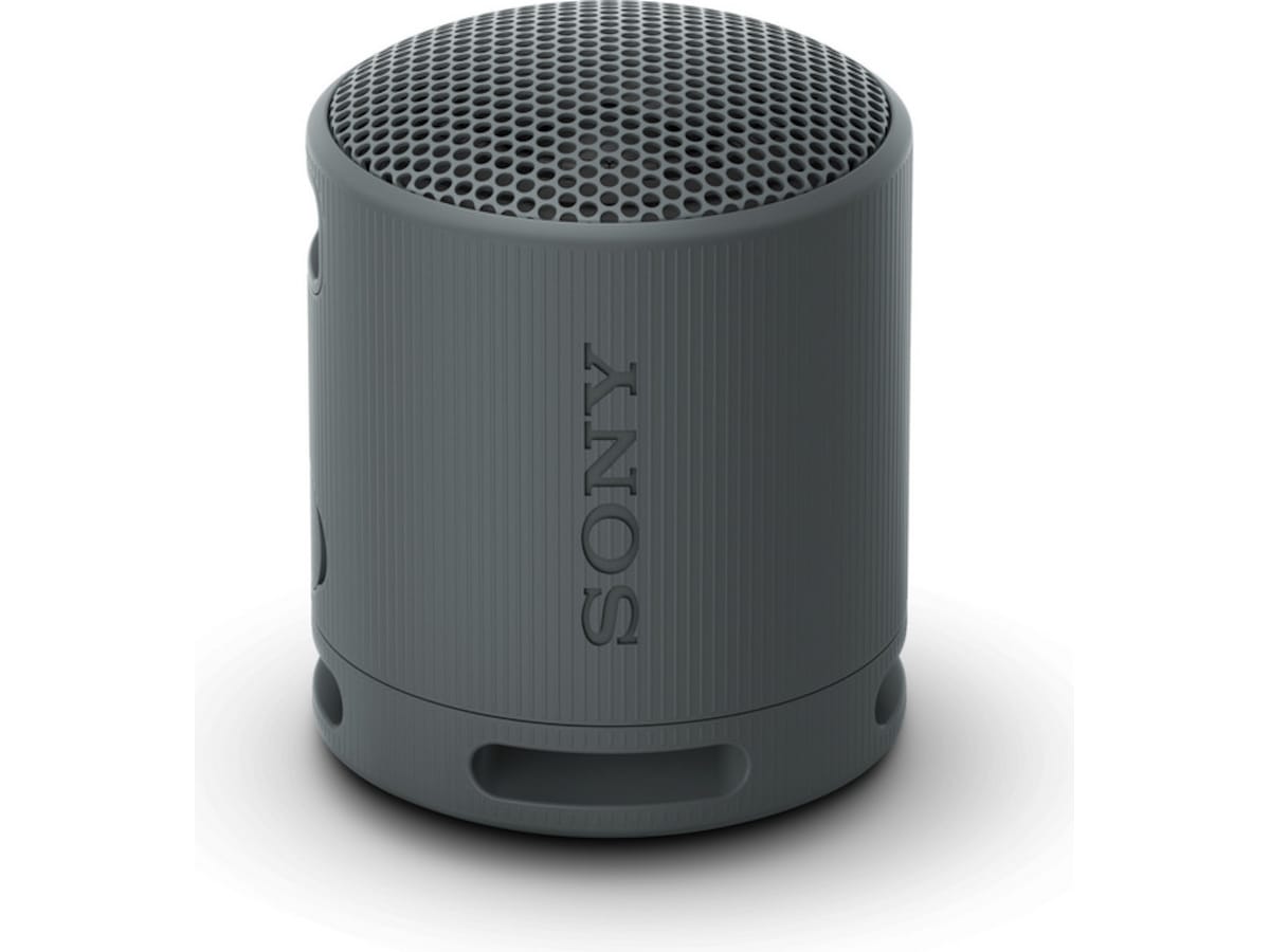 Sony SRS-XB100 trådlös bluetooth-högtalare (svart) Trådlös / Bluetooth högtalare