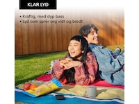 Sony SRS-XB100 trådlös bluetooth-högtalare (grå) Trådlös / Bluetooth högtalare