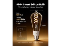Govee Smart Edison Bulb E27, RGBWW LED Lamp ST64, Compatible with Matter LED-lampor & glödlampor