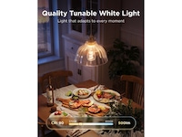 Govee Smart Edison Bulb E27, RGBWW LED Lamp ST64, Compatible with Matter LED-lampor & glödlampor