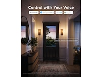 Govee Smart Edison Bulb E27, RGBWW LED Lamp ST64, Compatible with Matter LED-lampor & glödlampor