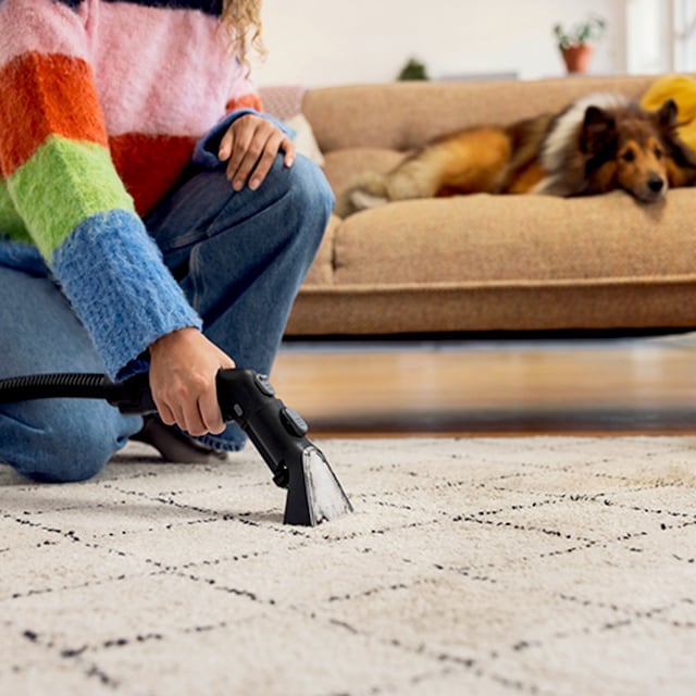 feature image feature image