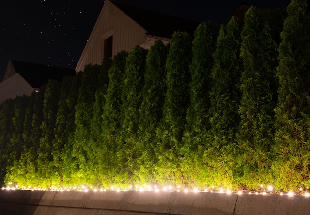 100L Ljuskedja 100L Ljuskedja