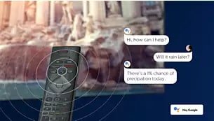 Röststyrning. Google Assistant. Fungerar med Alexa.