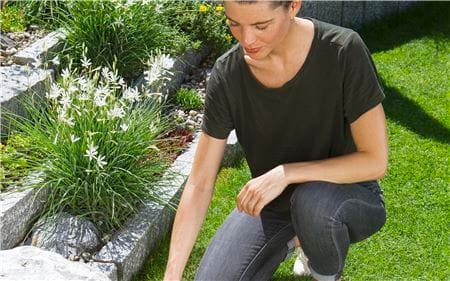 Gardena Batteri Grässax ClassicCut Li Gardena Batteri Grässax ClassicCut Li