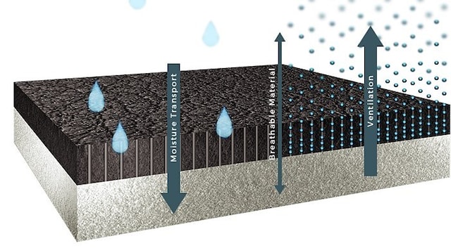 black edition närbild