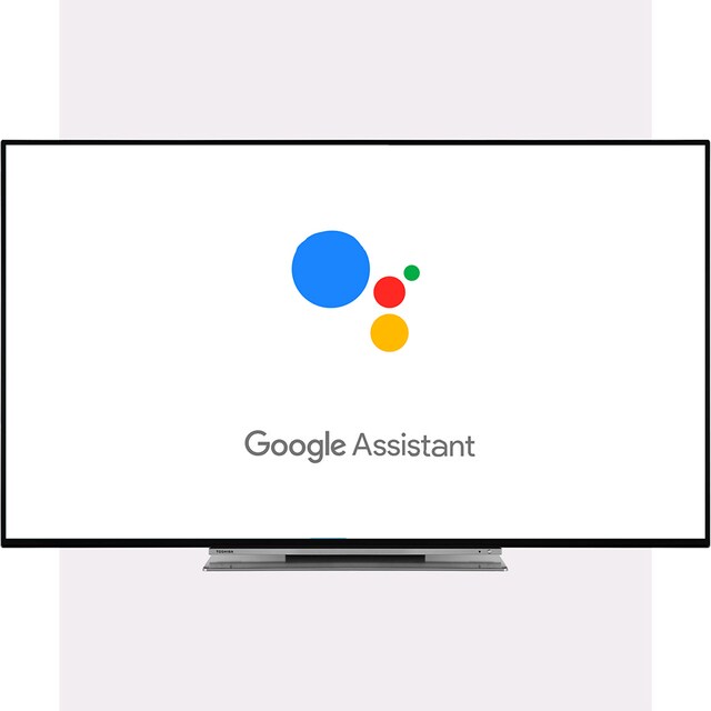 Google Assistant