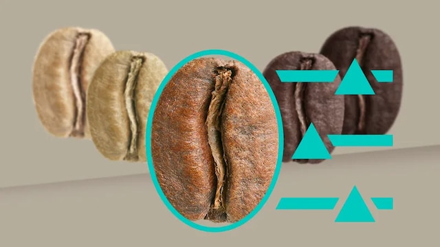 BeanIdent System BeanIdent System