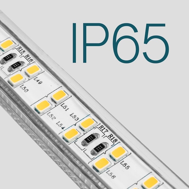 IP65 IP65